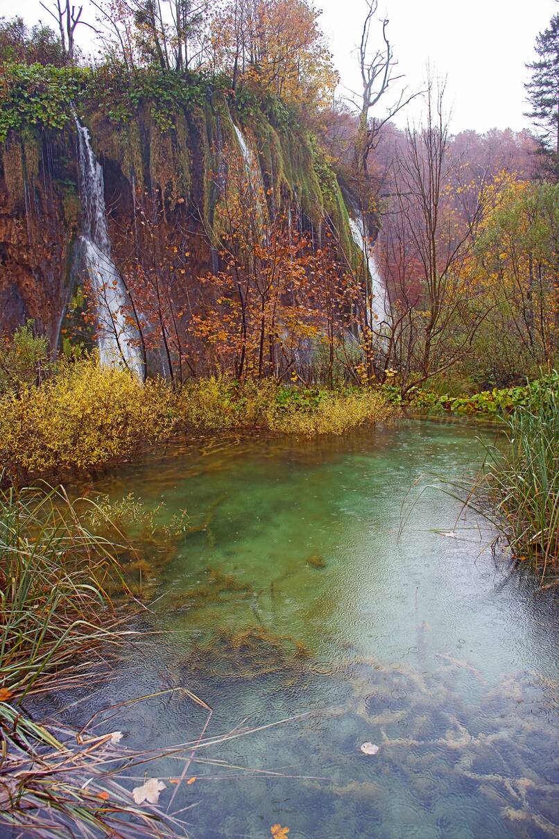 DSC10153.JPG