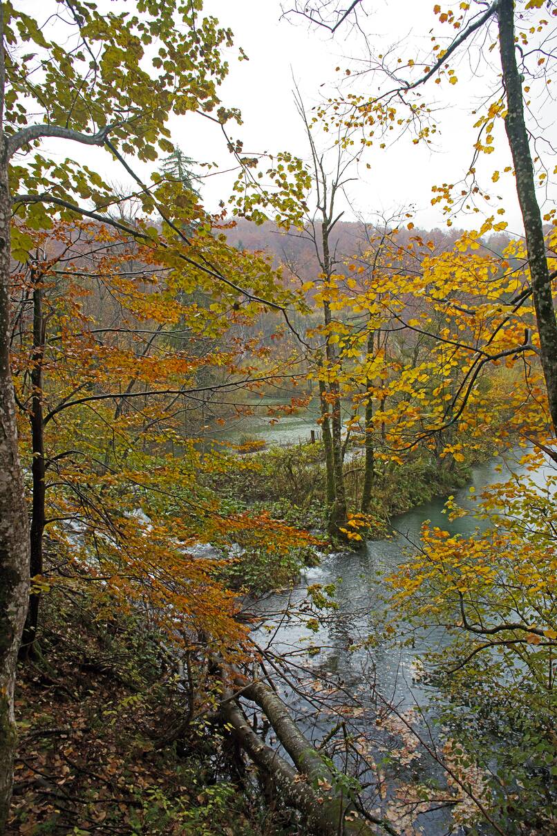 DSC10161.JPG