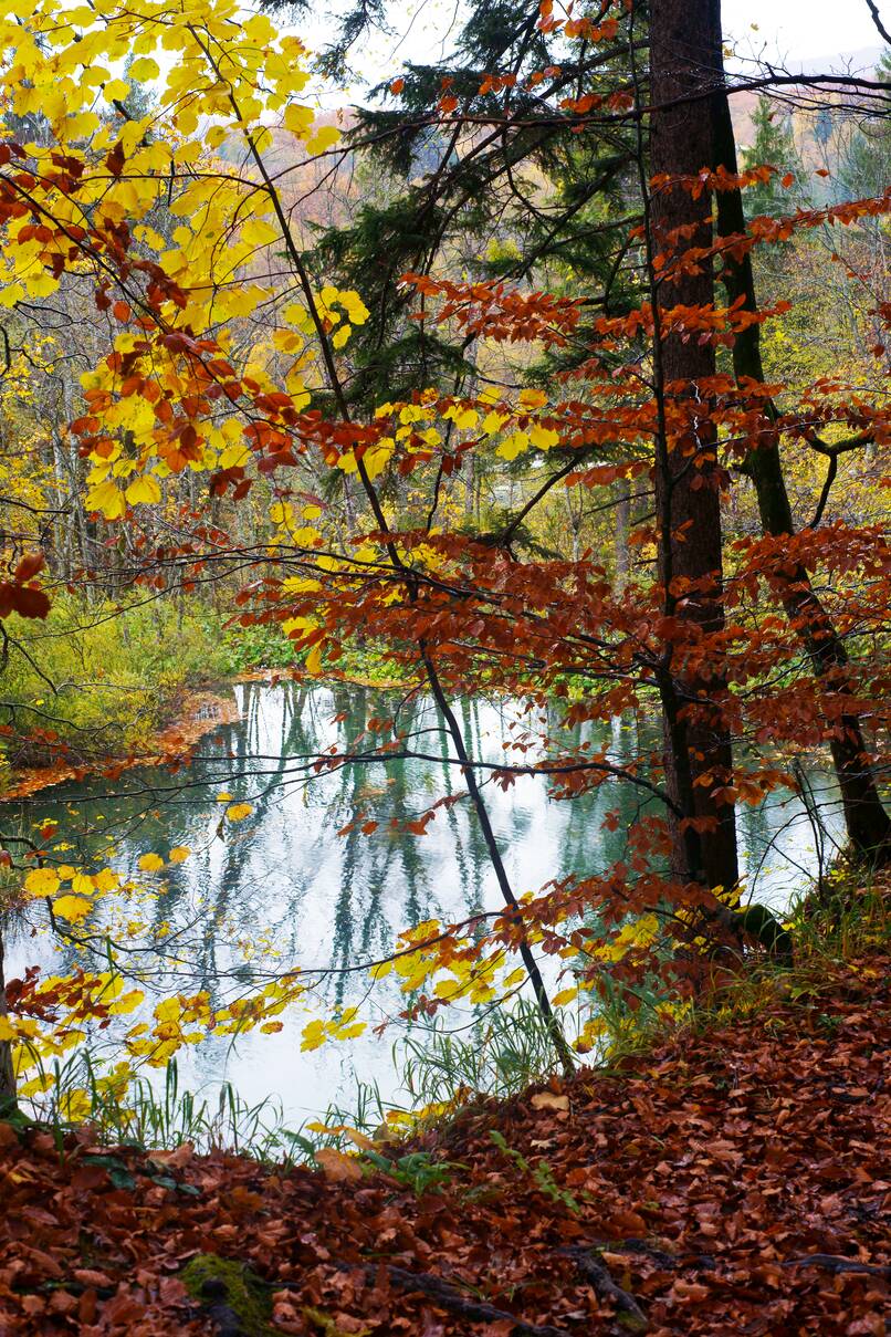 DSC10166.JPG