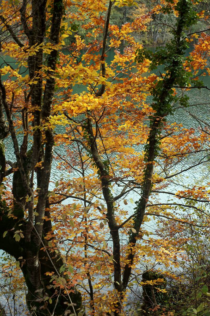 DSC10180.JPG