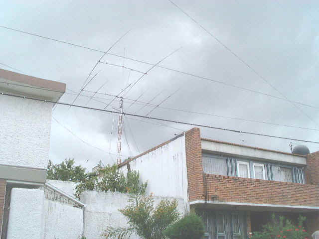 siso.JPG (26335 bytes)