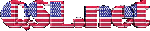 qsl net logo