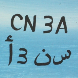 CN3A CQWW SSB official logo