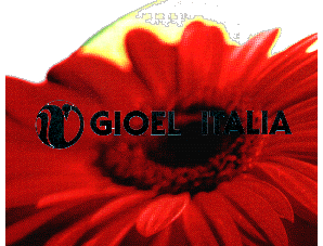 gioelfiore.gif (32479 byte)