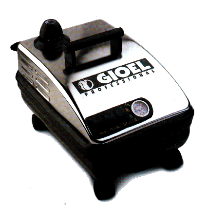 gioelprofessional.gif (52265 byte)
