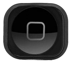 Torna alla pagina principale