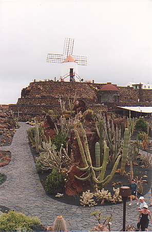 Il giardino dei cactus. Manrique trasform questa piccola cava di cenere vulcanica in un bellissimo giardino che ospita almeno 1500 specie diverse di cactus provenienti da tutte le parti del mondo. In questo giardino abbiamo  incontrato i anche canarini.