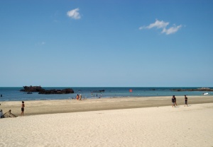 EOS10D,SIGMA12-24mmF4.5-5.6HSM,24mm,1/800,F/7.1, ISO/100