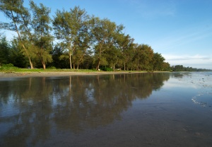 EOS10D,SIGMA12-24mmF4.5-5.6HSM,12mm,1/100,F/10, ISO/100