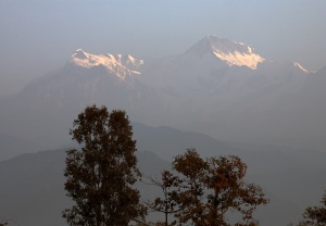 EOS5D,EF70-300mmIS-USM,150mm,1/50,F/11 ISO/400