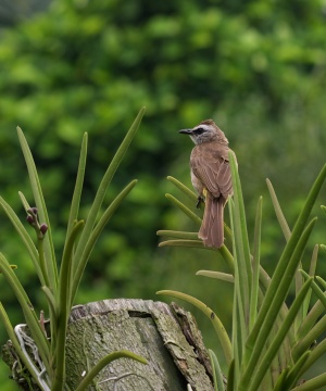 EOS10D,EF100mmMACRO-USM,1/80,F/5.6, ISO/100