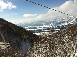 nozawa