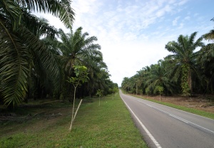 EOS10D,SIGMA12-24mmF4.5-5.6HSM,12mm,1/80,F/11, ISO/100
