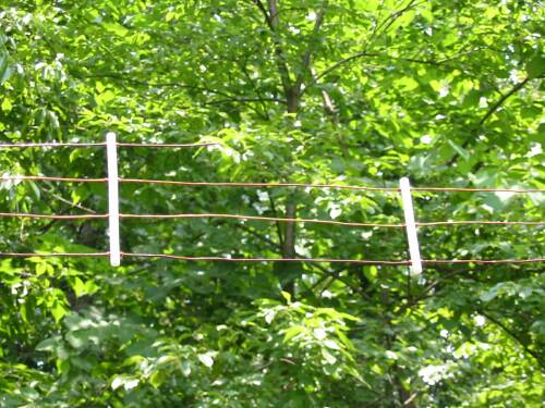 Six Meter Element End