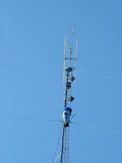 N2YBon432.jpg (4588 bytes)