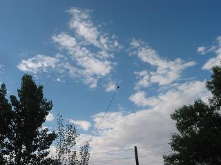 40M Sloper