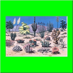 PLANTS.jpg