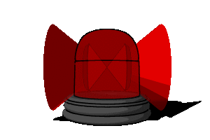 EMERGENCY LIGHT 