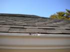 dscn0842_small.jpg