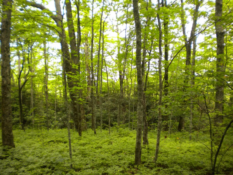 dscn1795.jpg