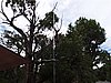 P8110615.JPG