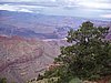 P8110628.JPG
