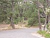 P8120659.JPG