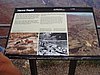 P8130685.JPG