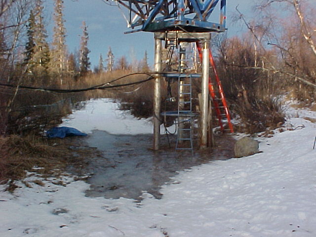 dishrink.JPG (70287 bytes)