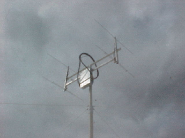 2mfeed2.JPG (26685 bytes)
