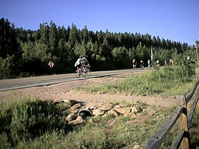 Lady Lake Top.jpg