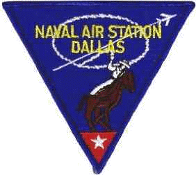 NAS Dallas Insignia