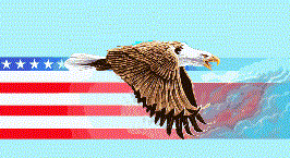 QSL.NET Eagle