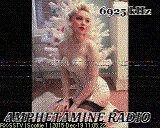 Amphetamine Radio