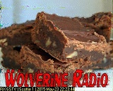 Wolverine Radio