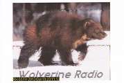 Wolverine Radio