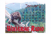 Wolverine Radio