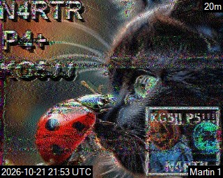 Recent received SSTV image 11