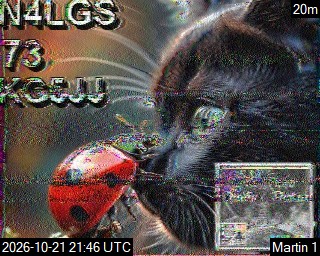 Recent received SSTV image 12