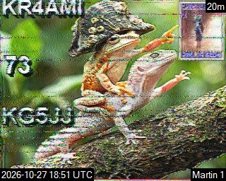 Recent received SSTV image 15
