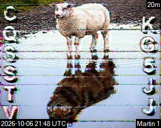 Recent received SSTV image 31