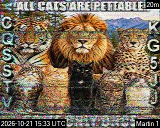 Recent received SSTV image 38