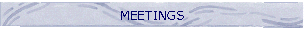 MEETINGS