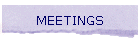 MEETINGS