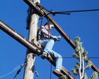 StevePole5-200.JPG (15433 bytes)