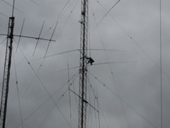 Jerry Working on Fixed 40m Yagi