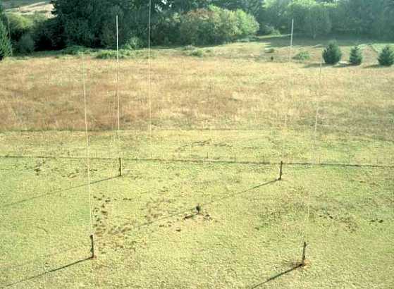 80-75 Meter 4-Square Array