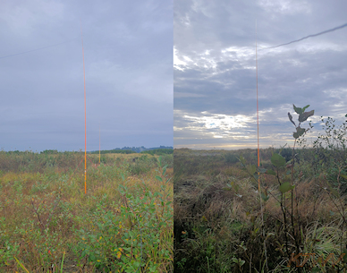 DKAZ antenna supports