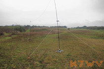 LW Delta Antenna