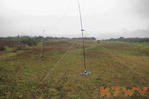 LW Delta Antenna